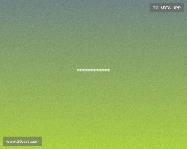 赛事承办经费支持状况及其可用性深入研究探讨